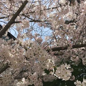 Meet your Posher, Audrey